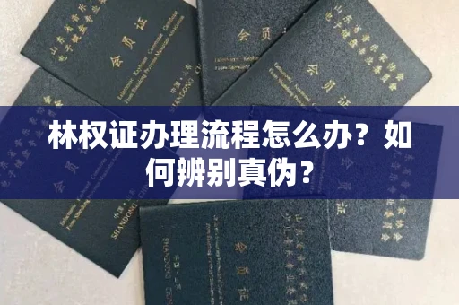 全国林权证办理流程怎么办?如何辨别真伪?