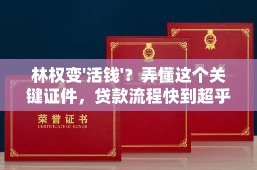 全国林权变'活钱'？弄懂这个关键证件，贷款流程快到超乎想象！