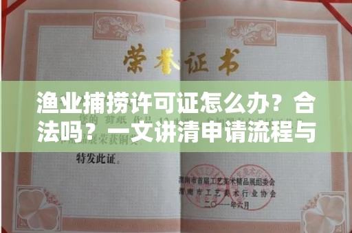 全国渔业捕捞许可证怎么办?合法吗?一文讲清申请流程与合规要点